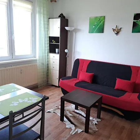 Apartman V Podhuri Krusnych Hor Sokolov Exterior photo