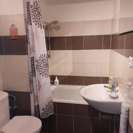 Apartman V Podhuri Krusnych Hor Sokolov Exterior photo