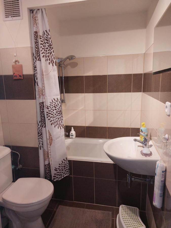 V Podhuri Krusnych Hor Apartment Sokolov